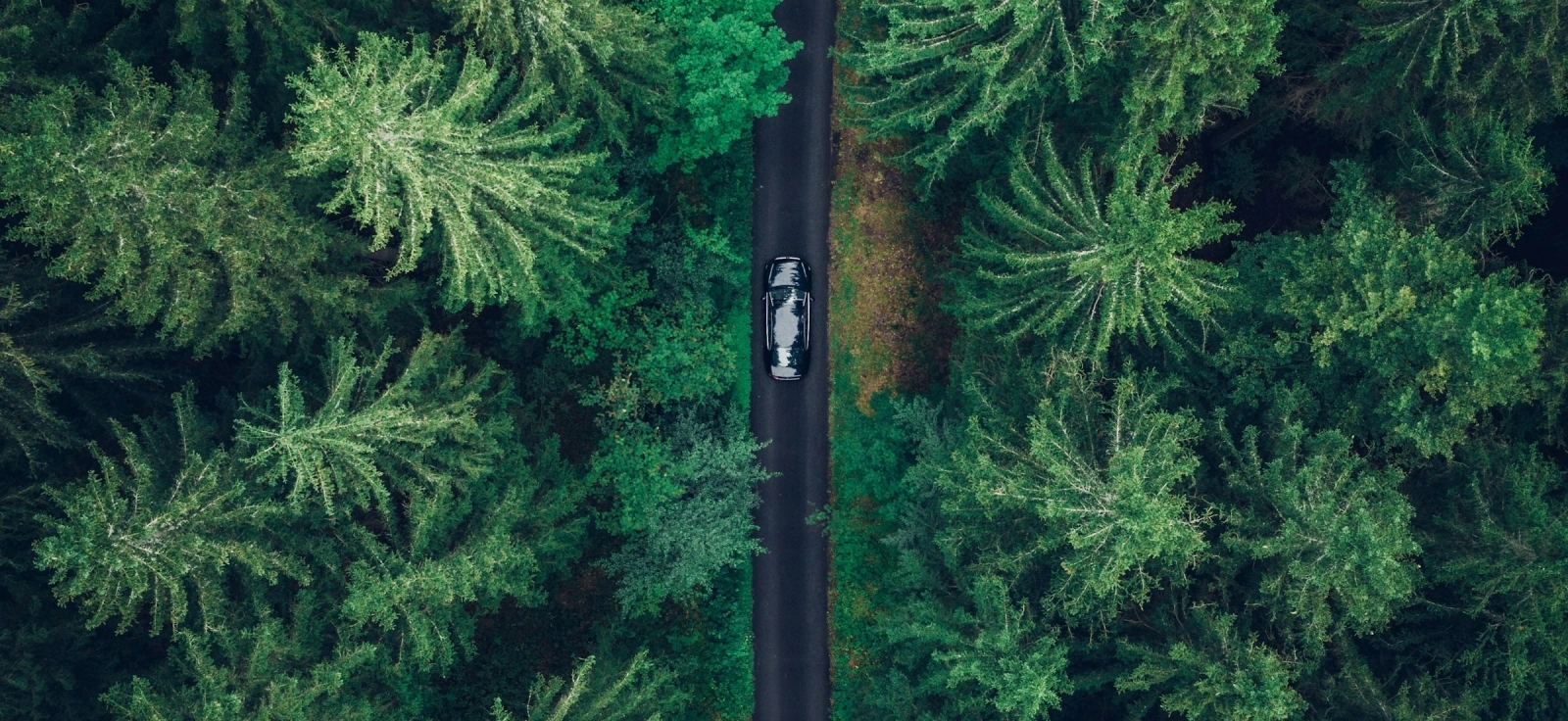 Euro 7 standard motora i ekološki uticaj automobila na prirodu