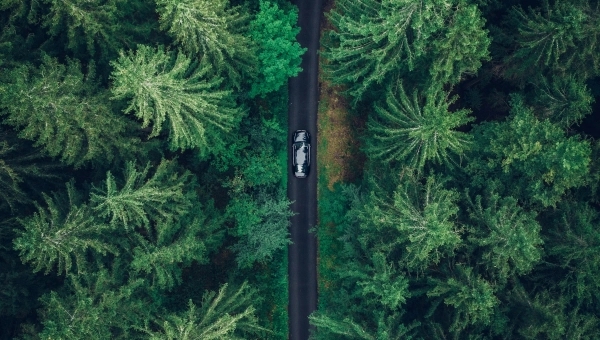 Euro 7 standard motora i ekološki uticaj automobila na prirodu