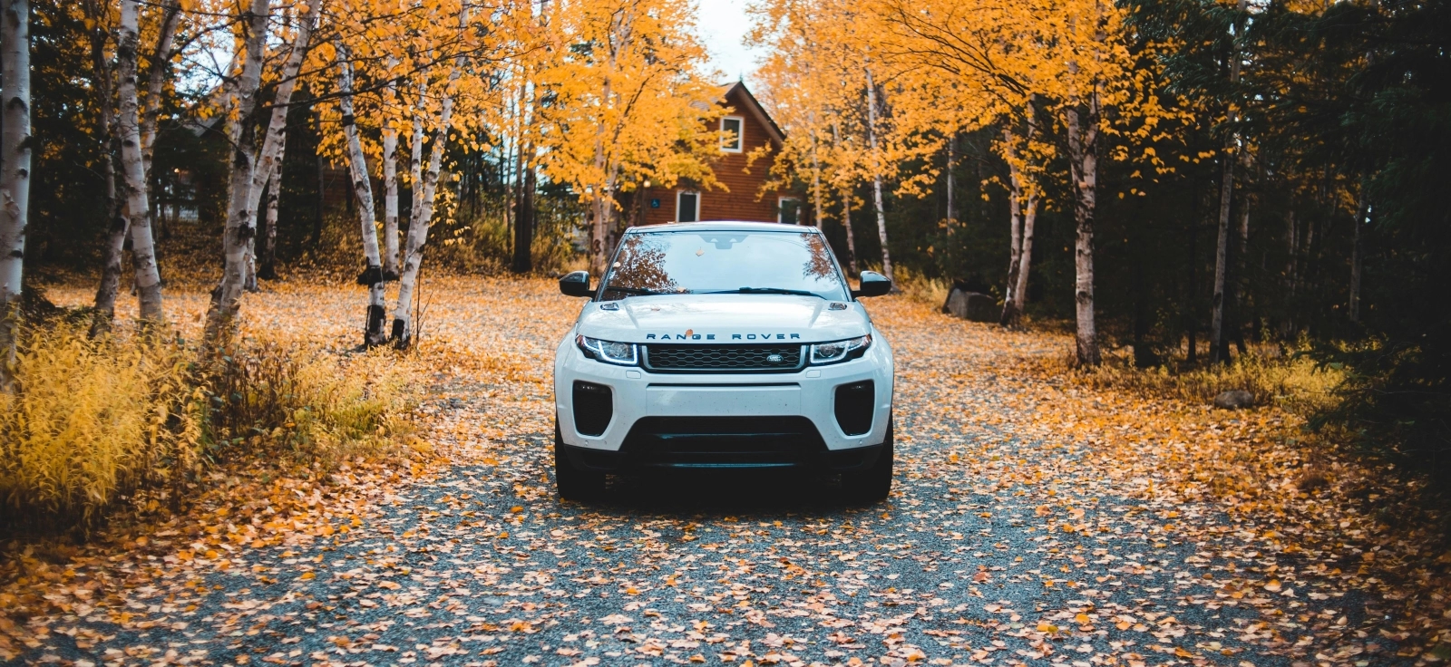 Automobil na kišnom putu prekrivenom lišćem – priprema auta za jesen i sigurnu vožnju