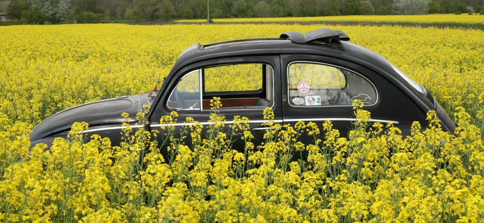 Automobil u prirodi tokom proleća spreman za vožnju nakon zimskog perioda